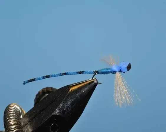 Blue Damsel