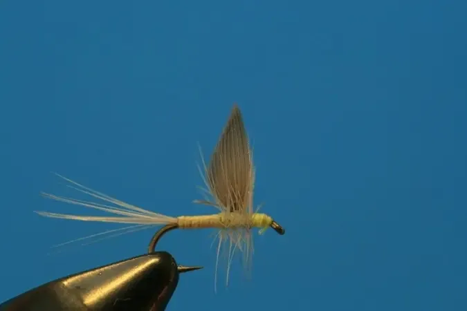 Mayfly Twofer PMD - SP