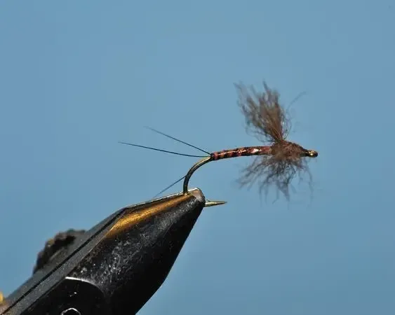Drake Brown Spent Spinner - SP