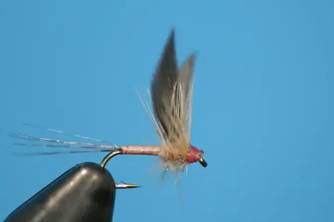 Mayfly Twofer Pink - SP