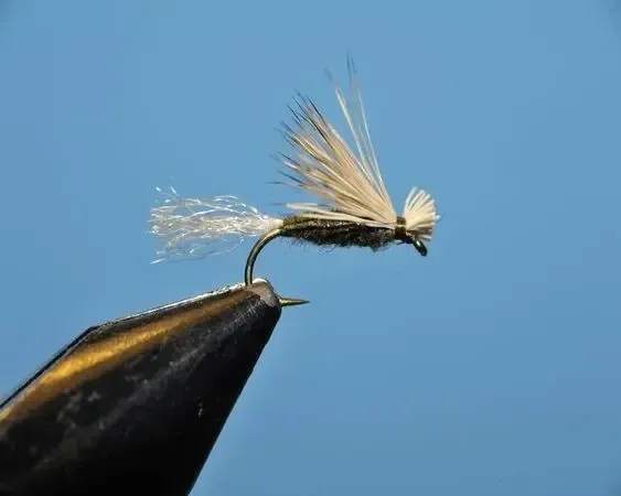 Caddis Poly  - SP
