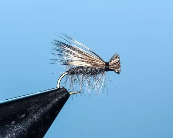Midnight Caddis