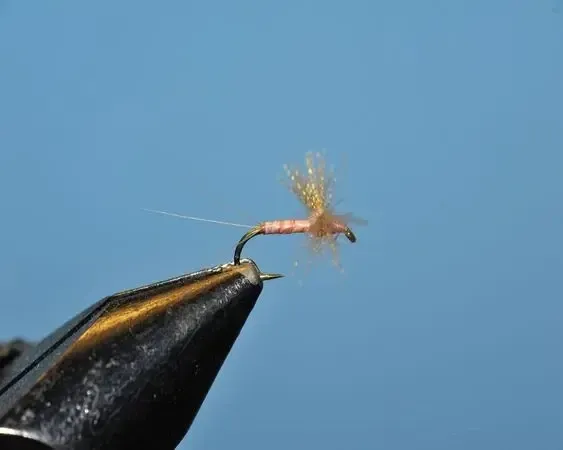 Pink Spinner