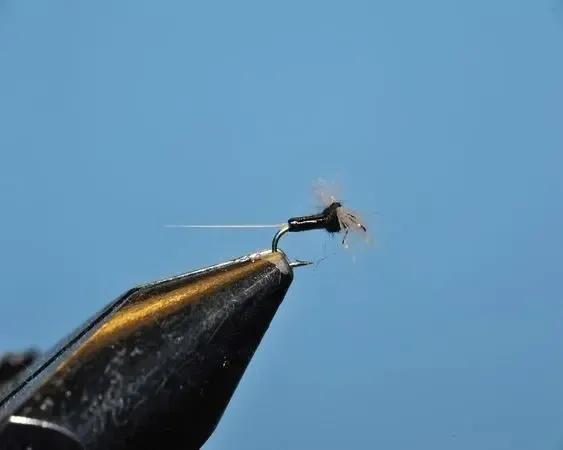 Trico Chocolate (Male) Spinner