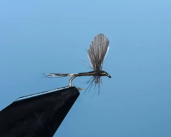 Mayfly Blue Wing Olive Single Upright Wing - SP