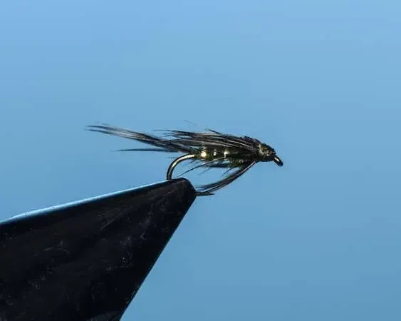 Baetis Soft Hackle