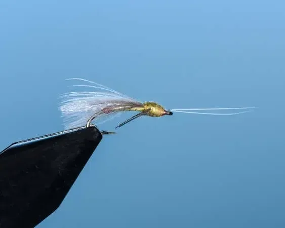 Empress Sally
