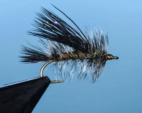 Black Gold Stimulator (Sizes 6, 8, 10, 12)