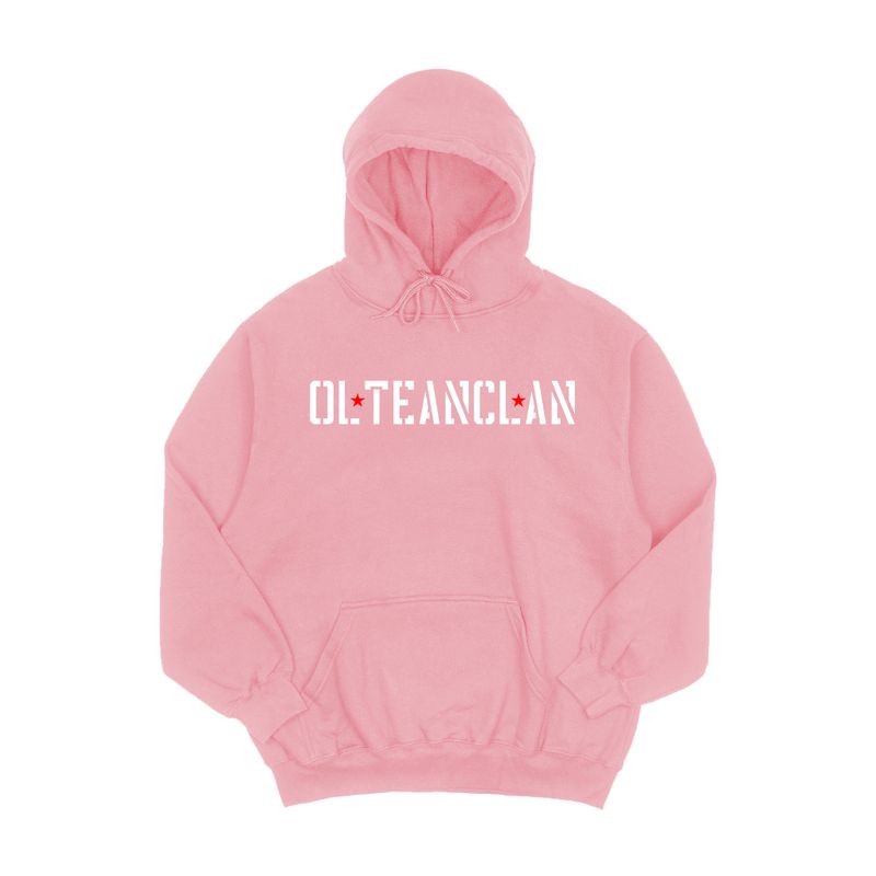 Hanorac oversize roz Olteanclan Wings