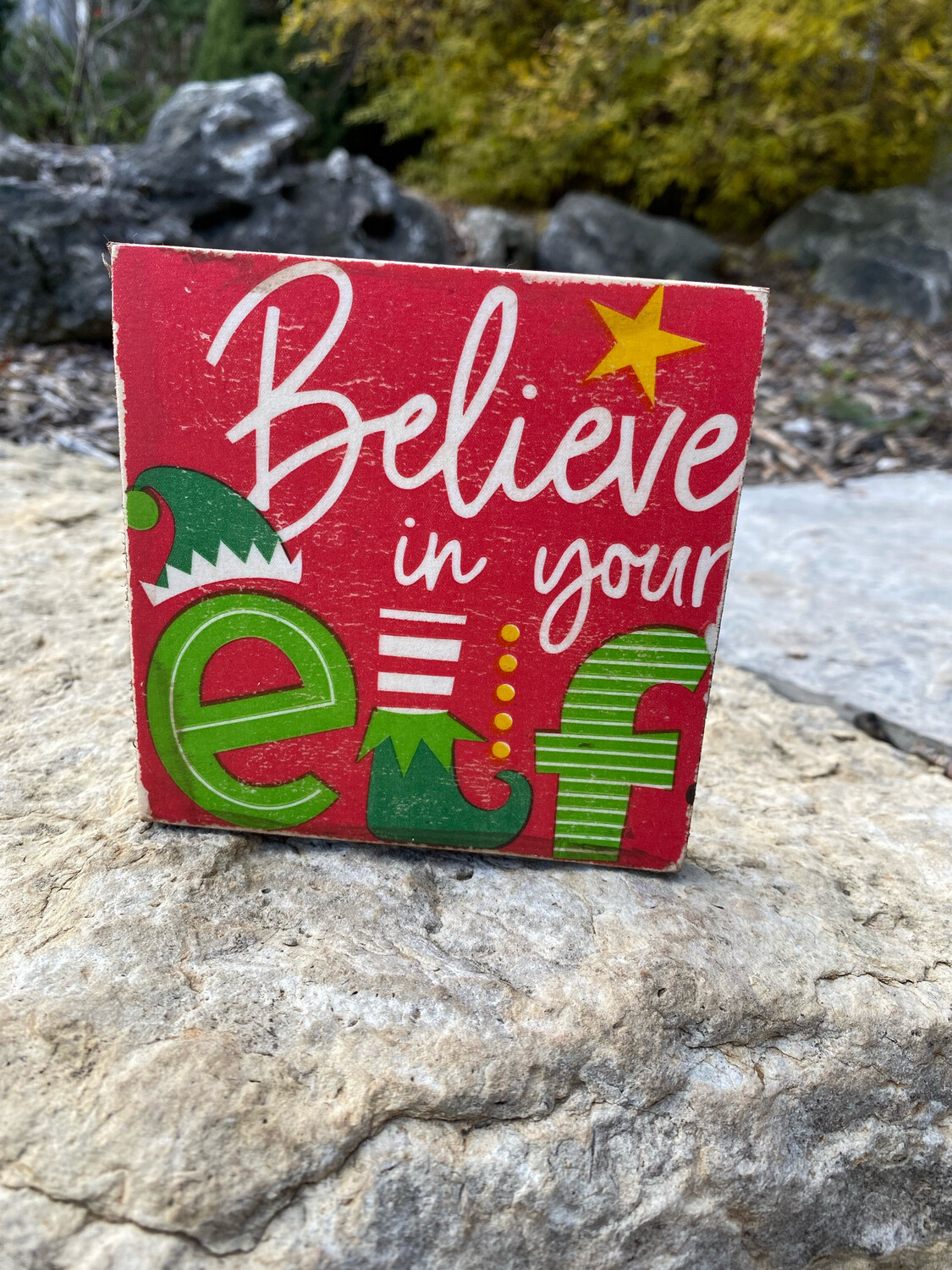 Believe In Your Elf