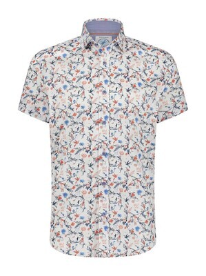 A fish named Fred Shirt SS pelican Blauw 28.061