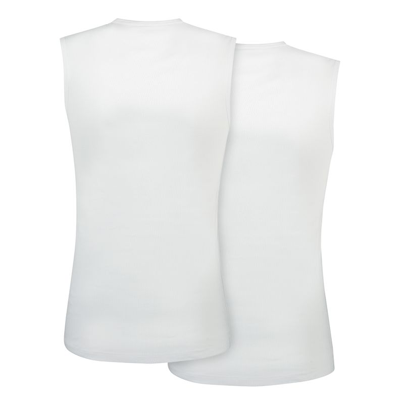 Rj Bodywear T-shirts wit Zwolle V-neck 2-pack