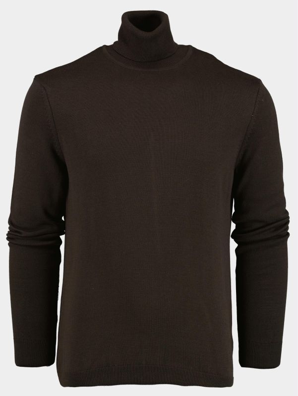 Innocente Bruin Coltrui uni