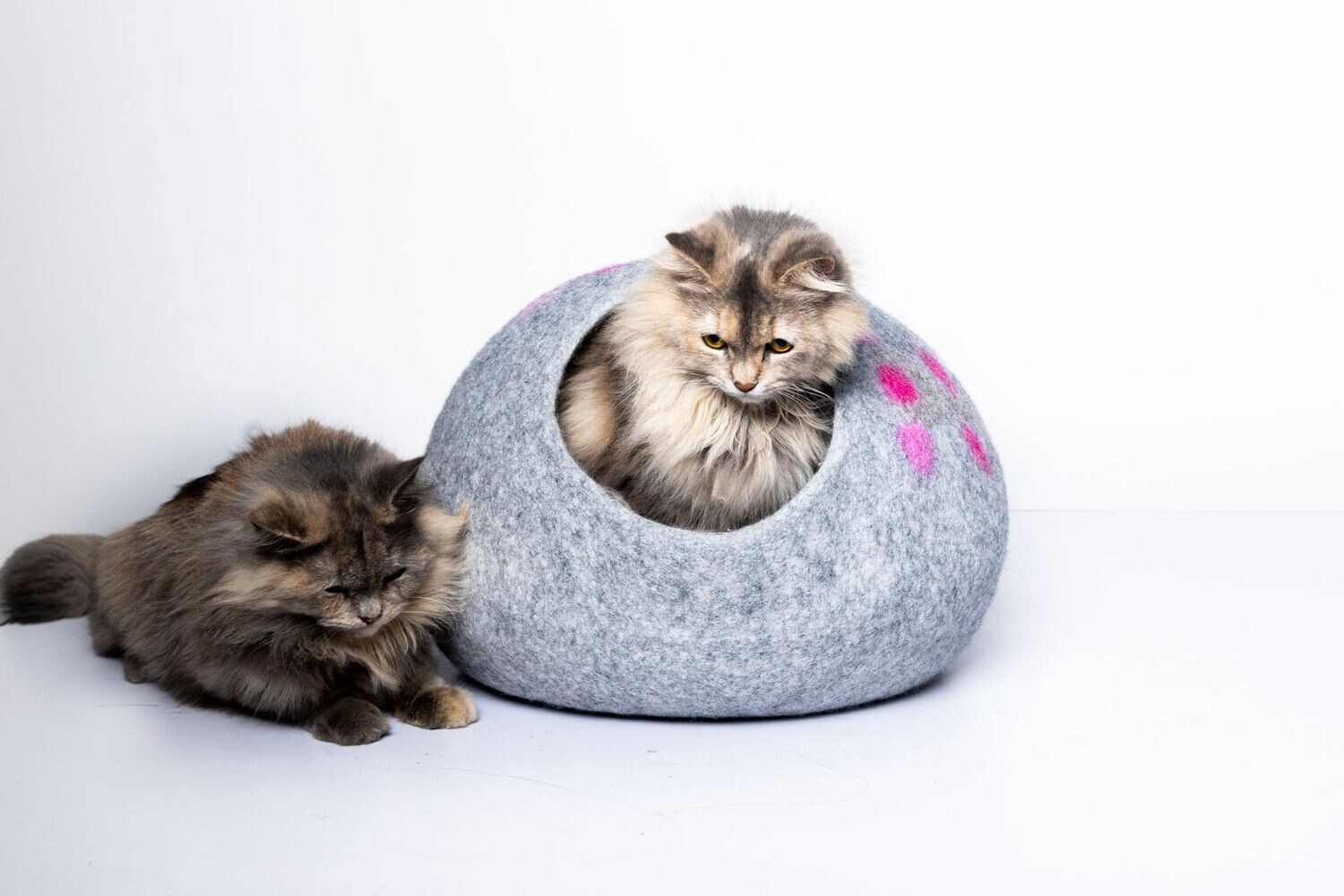 Dot Design Cat Cave: Purr-fect Coziness!