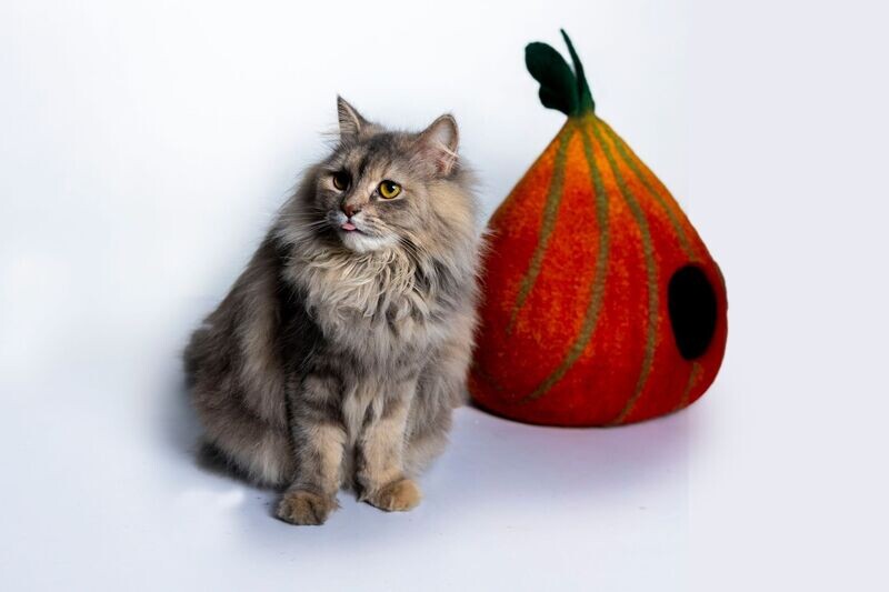 Leafy Dreams: Leaf Design Multi-Color Felt Cat Cave