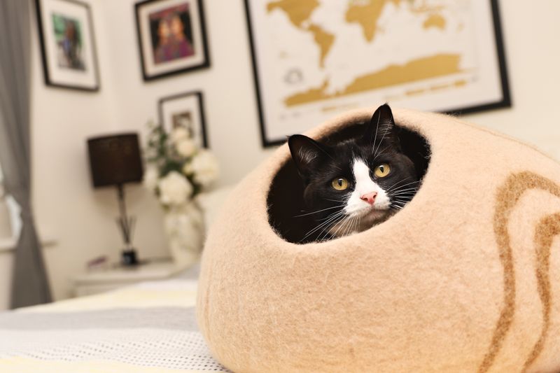 Cozy Classic Caramel Stripe