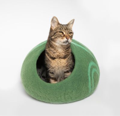 Cozy Classic Emerald Stripe