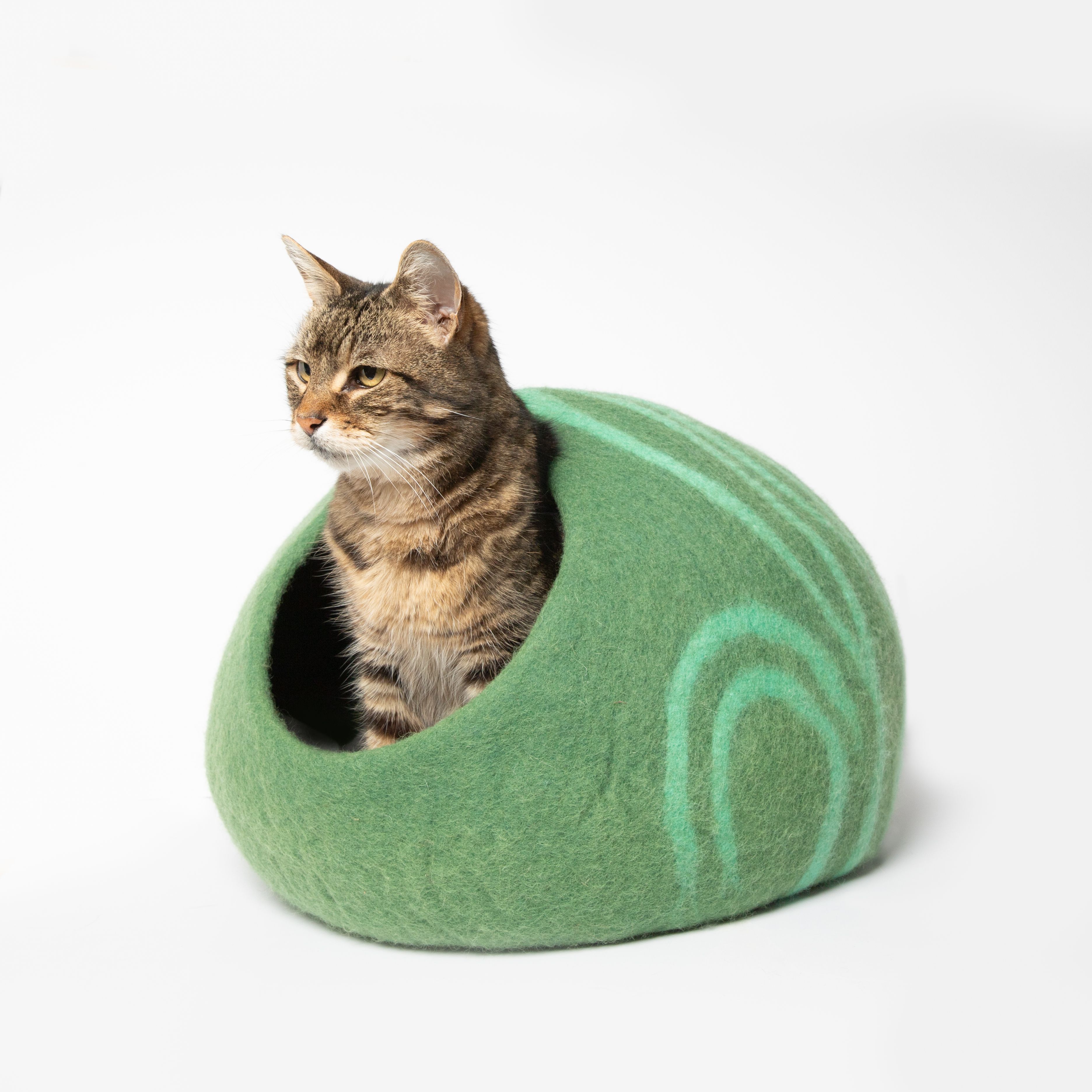 Cozy Classic Emerald Stripe