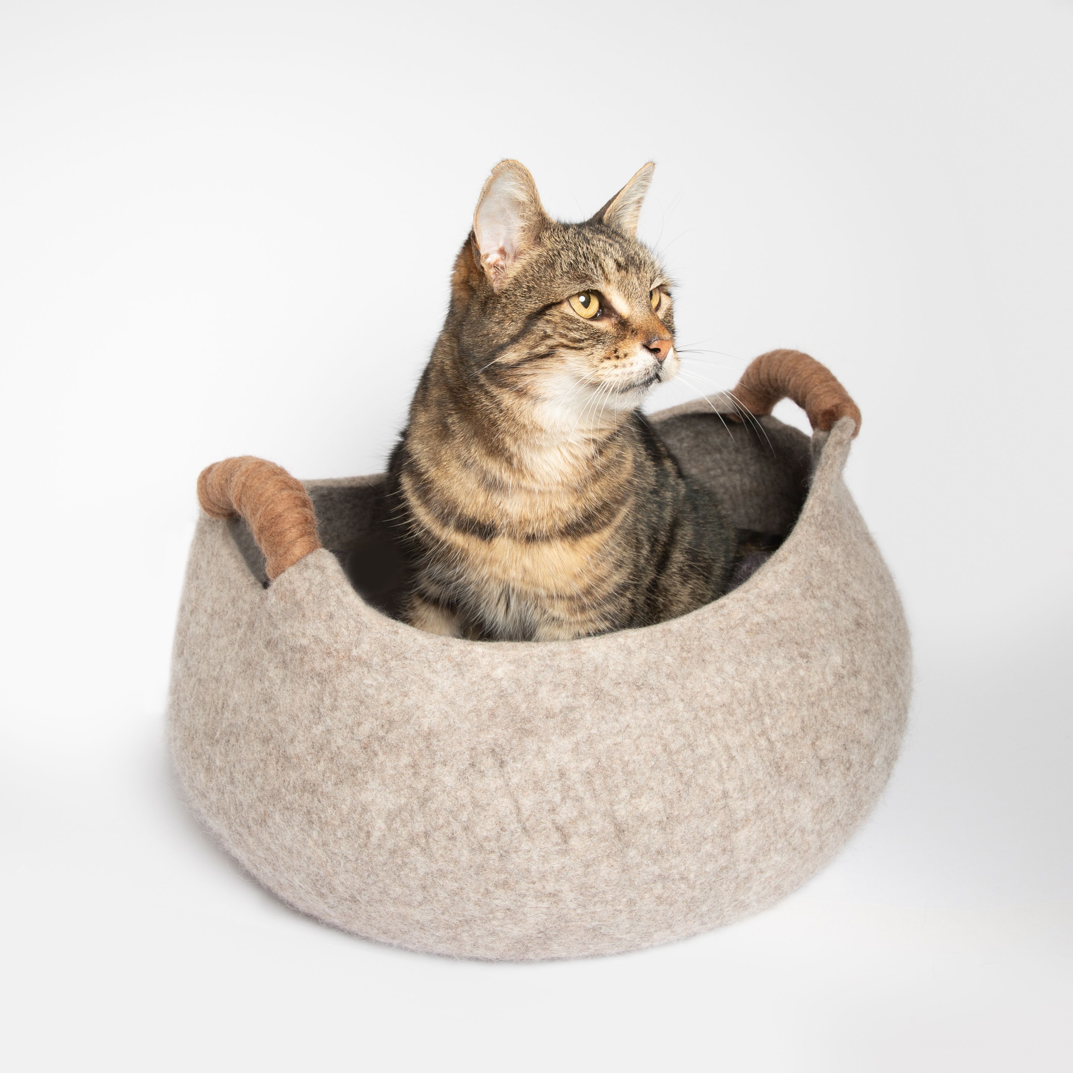 Chilled out in style