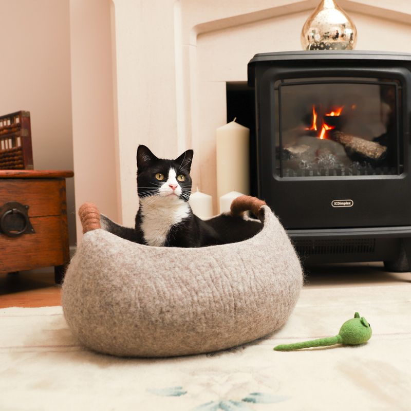 Chilled out in style