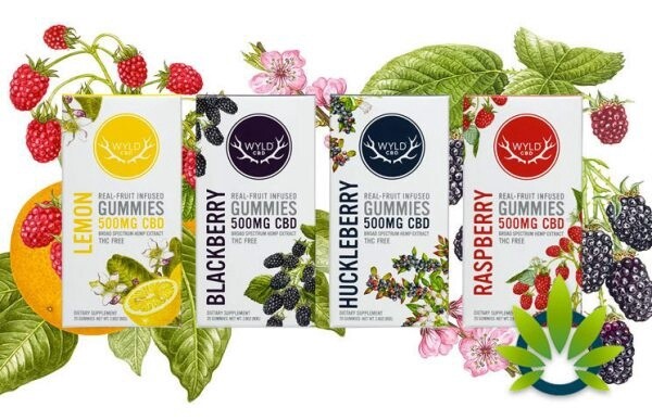 Wyld 500mg CBD Gummies