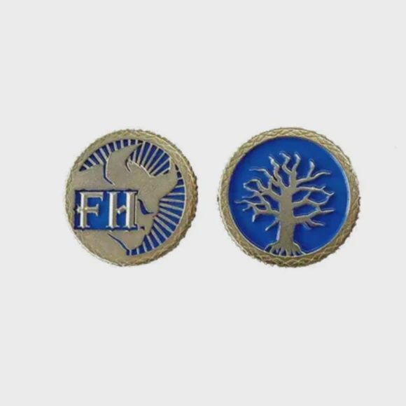 Frosthaven Challenge Coin