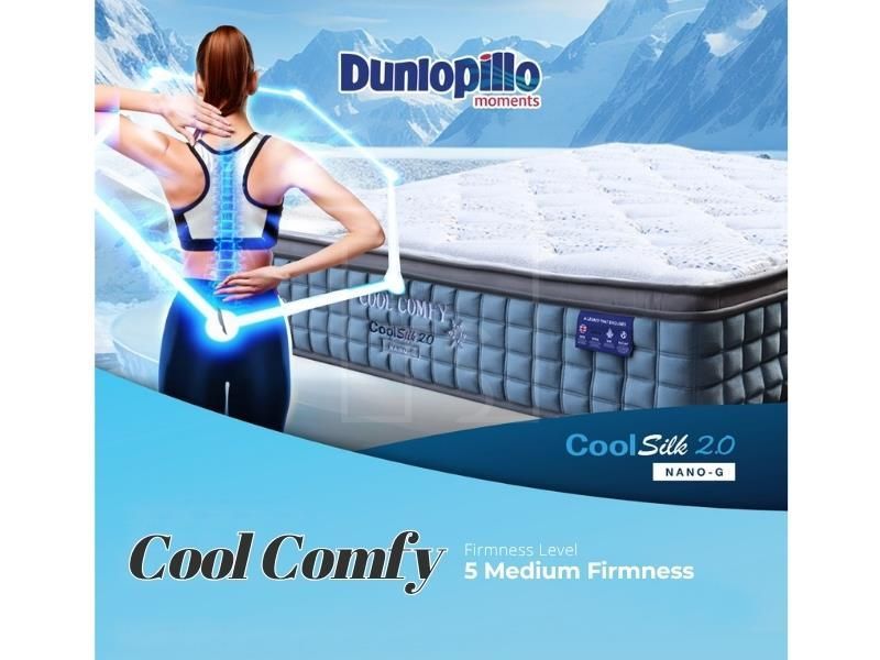 Cool Comfy Free 2 Hotel Pillow Package Offer