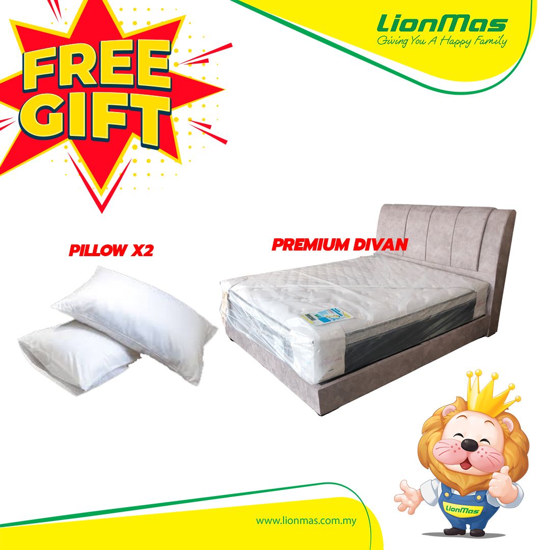 GOODNITE PRESIDENT SUITE Package FOC Premium Divan, Pillows
