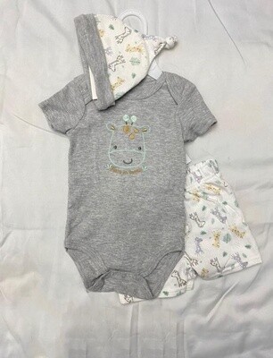 Duck Duck Goose &quot;New In Town&quot; 3 Piece Onesie Set