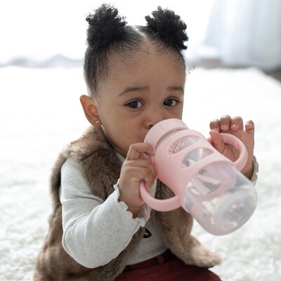 Dr Brown's Wide-Neck Sippy Spout Bottle with 100% Silicone Handles, Easy-Grip Handles with Soft Sippy Spout, 9oz/270mL,  2-Pack, 6m+