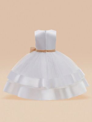 Young Girl Gorgeous Elegant Dress With Satin, Mesh, Bowknot