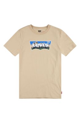 Levi's® Kids' Forested Mountain Batwing Graphic T-Shirt (Big Kid), Size: S (8-10y)