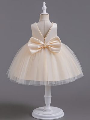 Toddler Girls&#39; Exquisite Cream Tulle Princess Dress - Gold