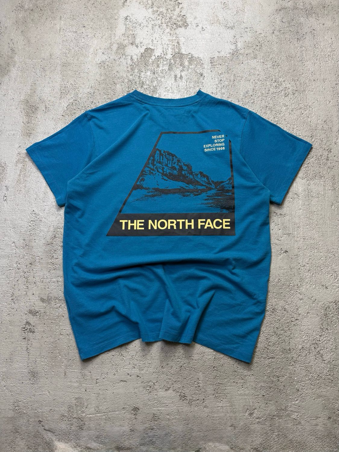 Koszulka The North Face Mountain Print Tee Blue M