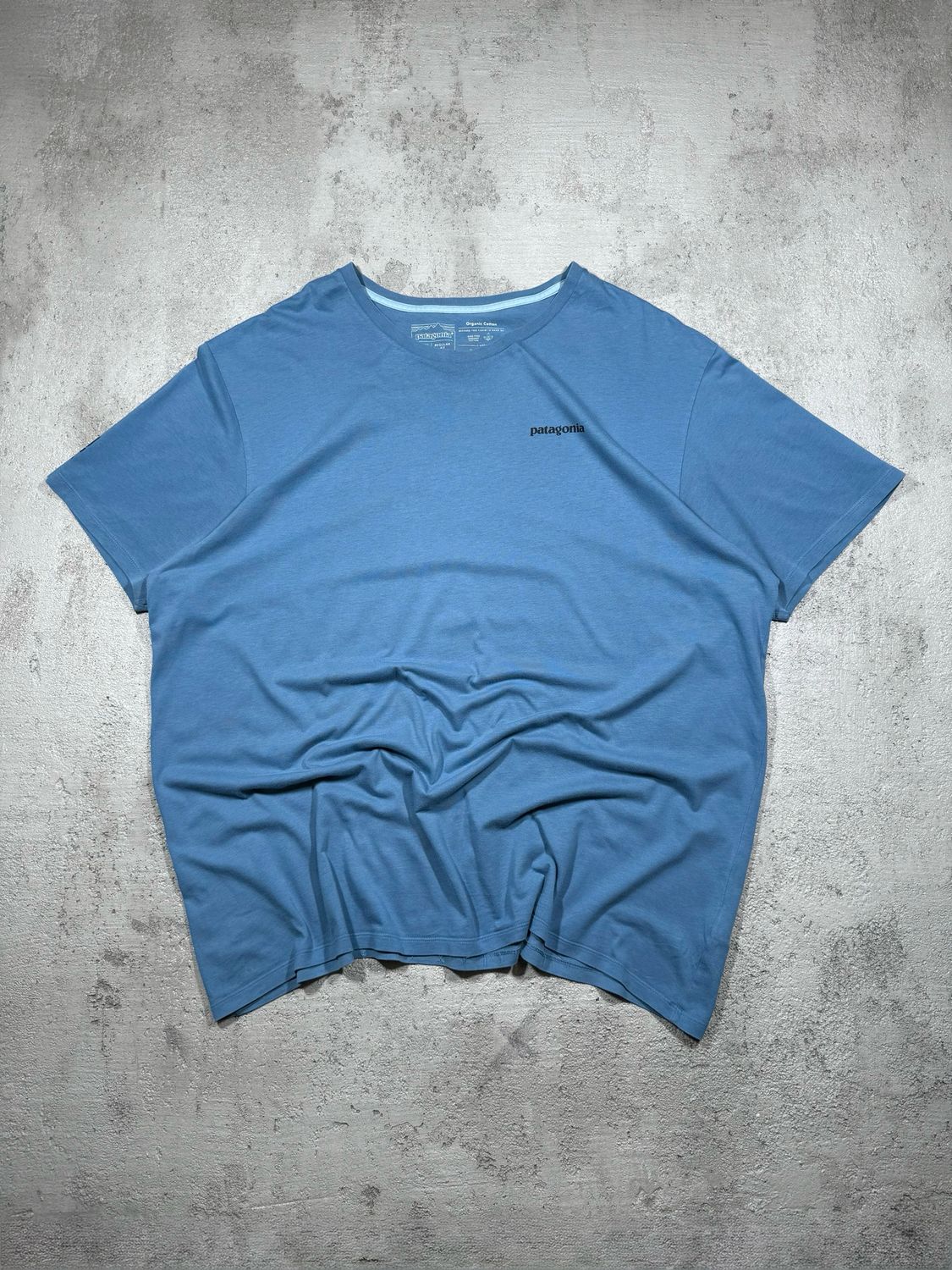 Koszulka Patagonia Healthy Land Tee Blue XL