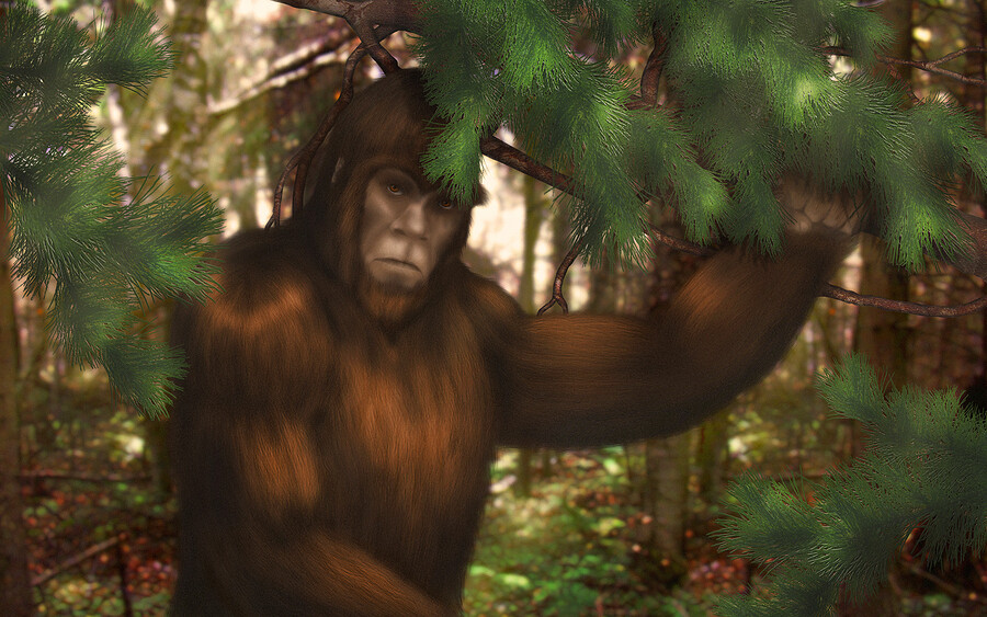 🟢 Healing with the Sasquatch