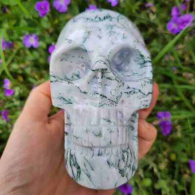 Rare Tree Agate Crystal Skull 5