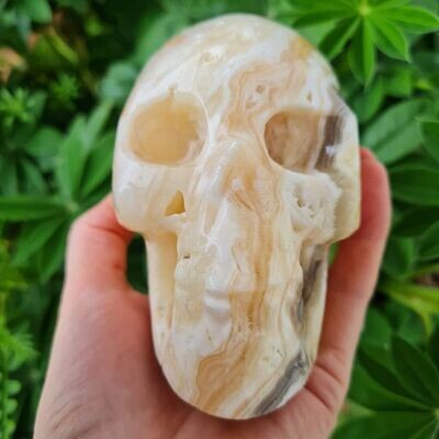 Unusual Cream Zebra Onyx Hand Carved Crystal Skull 4