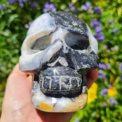 Zebra Jasper Crystal Skull 4.25