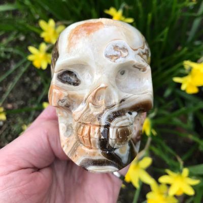 Brown Agate Crystal Skull 3.5