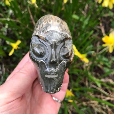 Ammonite Skull 3"*