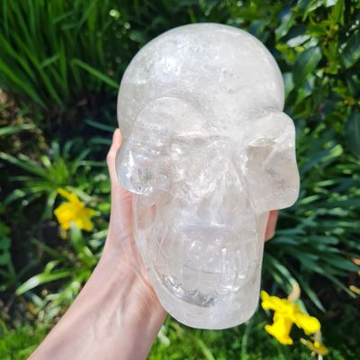 Quartz Crystal Skull 7.5"*