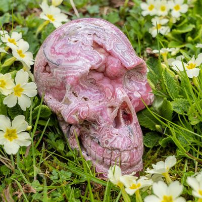 Healing Control Issues with Rosina Crystal Skull