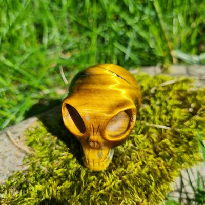 Arcturian Channel Golden Tiger's Eye Star Being Crystal Skull 2