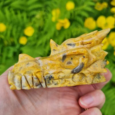 Crazy Lace Agate Dragon Skull 3&quot;*