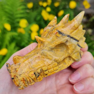 Crazy Lace Agate Dragon Skull 3&quot;*