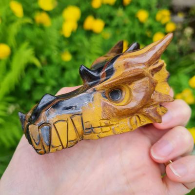 Tiger&#39;s Eye Dragon Skull 3&quot;*