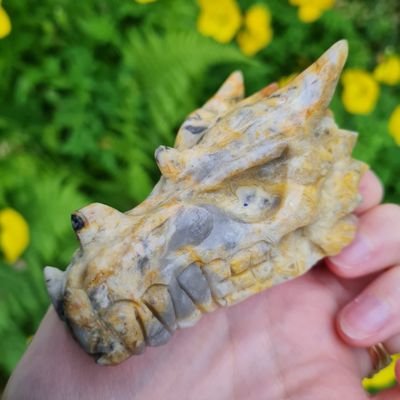 Crazy Lace Agate Dragon Skull 3&quot;*