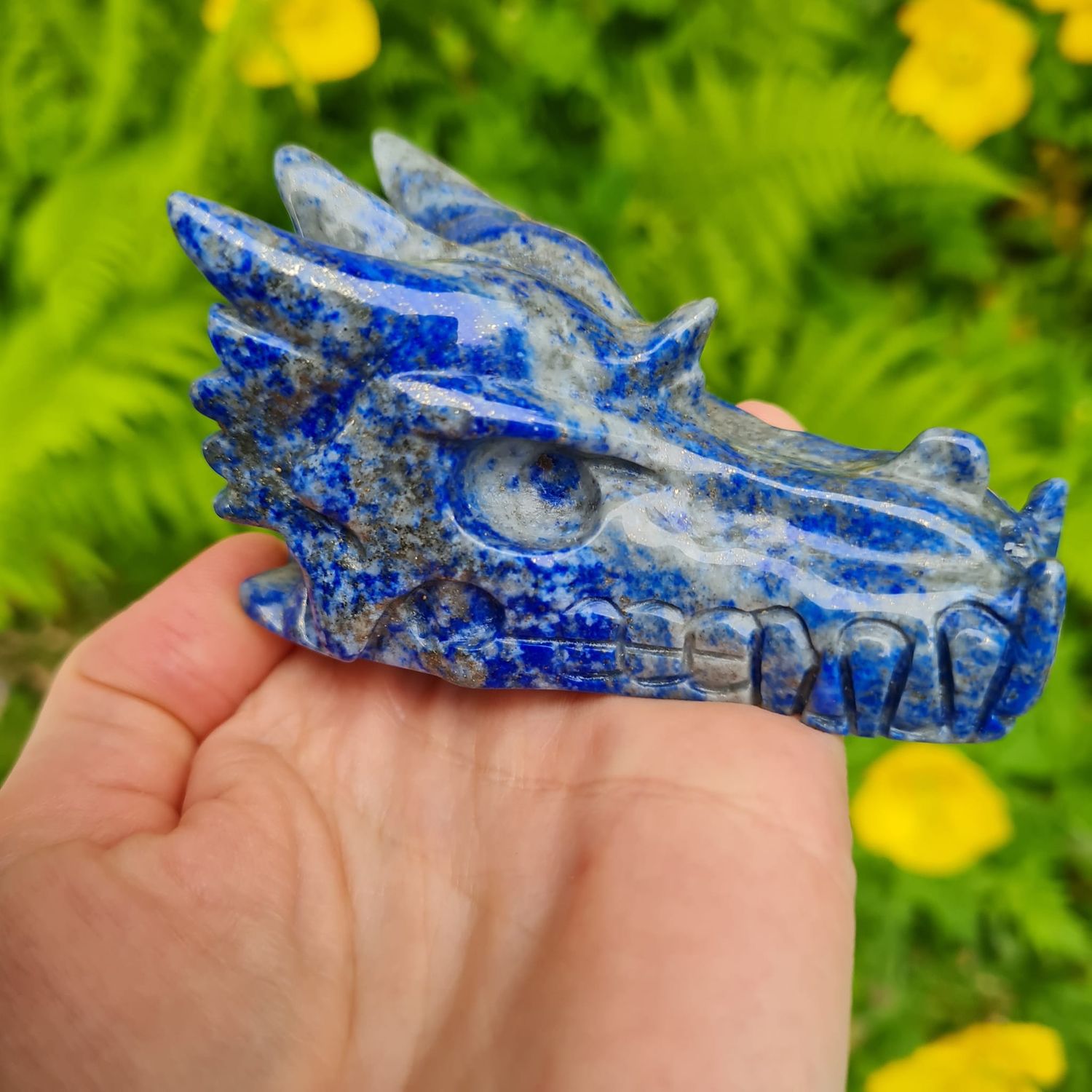 Lapis Lazuli Dragon Skull 3&quot;*