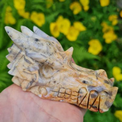Crazy Lace Agate Dragon Skull 3&quot;*